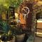 Casa Nativo - The Heart of the Vineyard