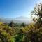 FINCA LA PLANTACIÓN _Agroturismo