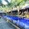 Coconut Boutique Resort
