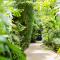 Rummana Boutique Resort - SHA Plus