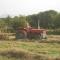 Tyddyn Perthi Farm