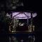 Wild Camp- The Nature Resort