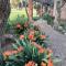 Geralds Gift Guest House