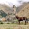 Snoveli Kazbegi Stepantsminda