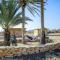 Negev Camel Ranch - Dimona