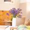 Residence Intica