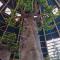 Insolite dans les arbres Les Ormes, Epiniac - 埃皮尼亚克