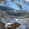 Résidence Néméa Les Chalets du Bois de Champelle - Morillon