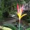 Reserva Natural Heliconia Amazonas - 莱蒂西亚