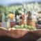 Zante Maris Suites - Adults Only - تسيليفي