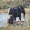 NJIRI LODGE - Your part of Africa