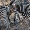 NJIRI LODGE - Your part of Africa