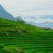 Hmong Sister House and Trekking