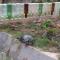 Seri Kenangan Holiday Home