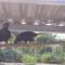 Seri Kenangan Holiday Home