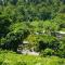 Citrus Creek Plantation