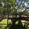 Nature Lodge