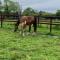 Ferme du Loucel photo 11