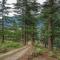 The Wild Trails by Livingstone