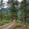 The Wild Trails by Livingstone - Kalpa