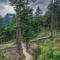The Wild Trails by Livingstone