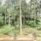 Truong Xuan Ecology
