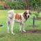 Walsh Farm Farmstay