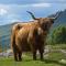 Glencroft A Fairytale Highland Cottage