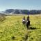 Wild Horses Lodge