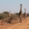 NJIRI LODGE - Your part of Africa