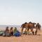 Bivouac Les Nomades & Foum zguid to chegaga tours - Foum Zguid