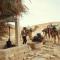 Bivouac Les Nomades & Foum zguid to chegaga tours - Foum Zguid