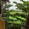 Country View Cottage Colva