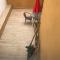 Teleworking Silent new and modern
