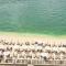 BEACH APARTMENT WITH SEA -AND Kotor VIEW - Kotor