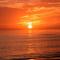 Steps to #1 Beach in America Siesta Beach! - Siesta Key