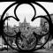 Ypsibloom