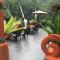 Jungle Inn Bukit lawang - 武吉拉旺
