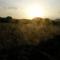 Finca Son Josep de Baix
