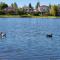 Saskatoon Lashyn Cove Homestay