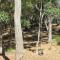 Treehouse - 3 acre elevated nature setting - Quindalup
