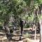 Treehouse - 3 acre elevated nature setting - Quindalup