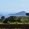 Atea Lodge - Coromandel Town