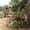 Baan Suan Jantra Home Stay
