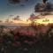 Studio Bwa Banbou dans Villa Fleurs des Iles - Le Vauclin