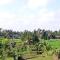 Tereng Wilis Jungle Inn