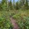 Holiday Home Isokoskelo 5 by Interhome