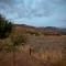 Orias Guesthouse & Farm