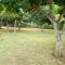 Medori Putih Homestay
