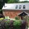 Beautiful Cottage in New Forest with Wood Burner